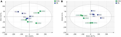 Undernutrition-induced substance metabolism and energy production disorders affected the structure and function of the pituitary gland in a pregnant sheep model